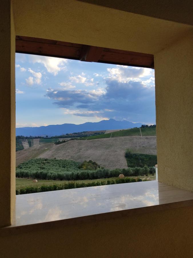 Agriturismo Terra Dei Falchi Castilenti Εξωτερικό φωτογραφία