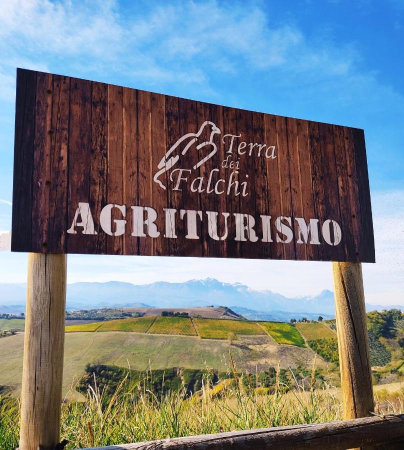 Agriturismo Terra Dei Falchi Castilenti Εξωτερικό φωτογραφία
